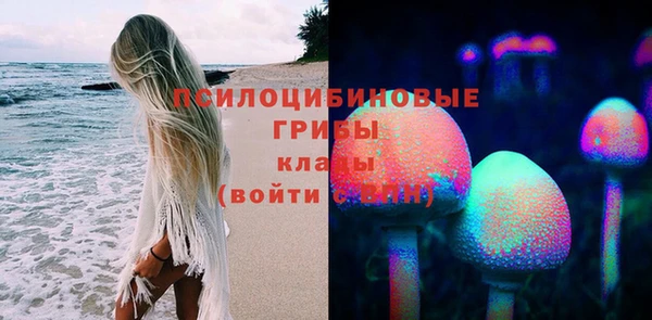 мдпв Лиски
